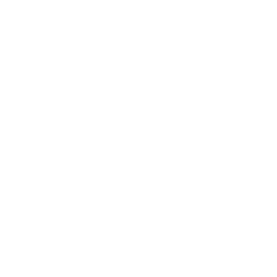 logo mujeres 2000